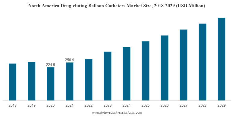  North America Drug-eluting Balloon Catheters Market Size