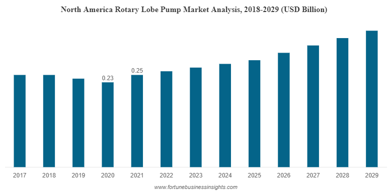 North America Rotary Lobe Pump Market Analysis