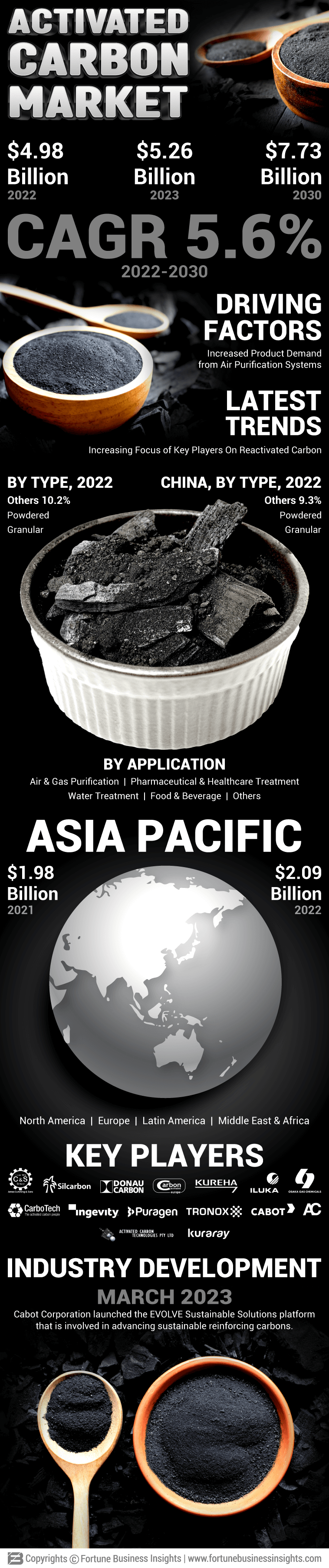 Activated Carbon Market 
