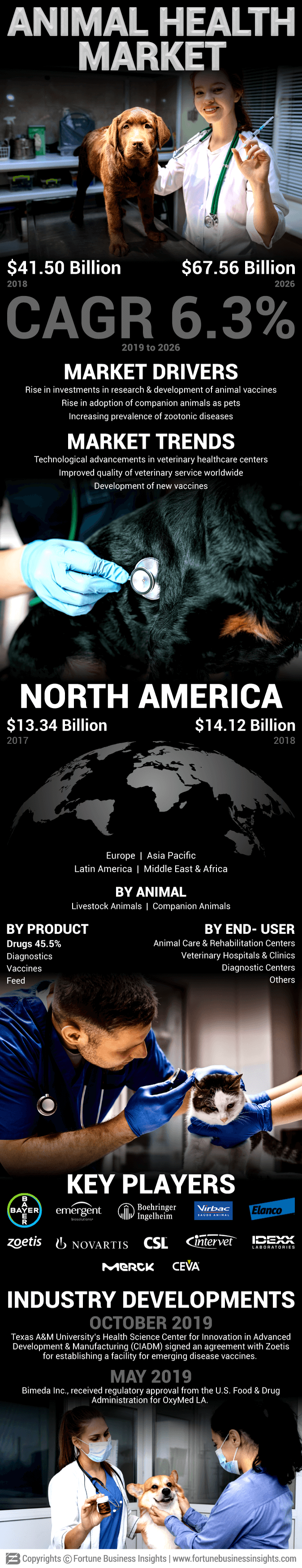 Infographics - Animal Health Market