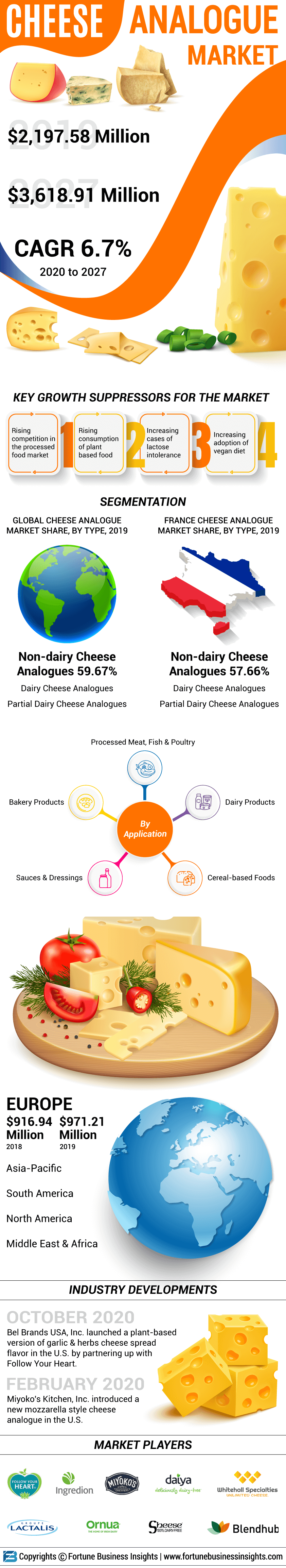 Cheese Analogue Market