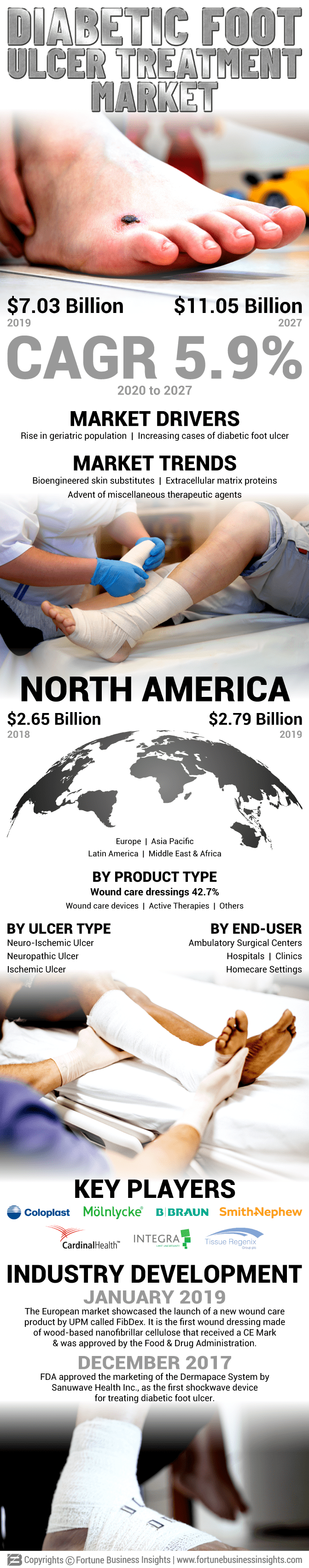 Diabetic Foot Ulcer (DFU) Treatment Market