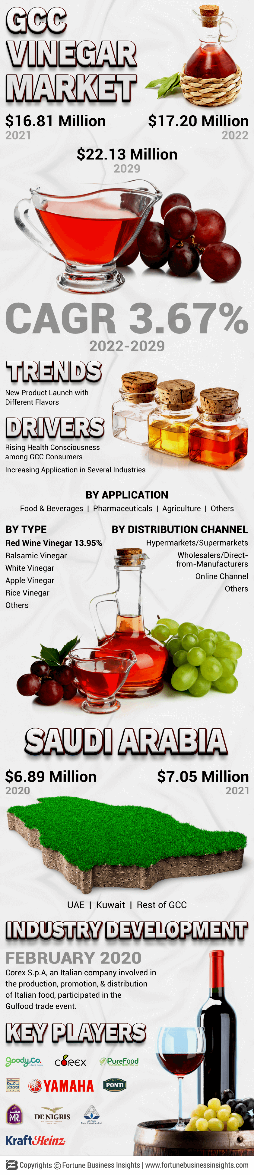 GCC Vinegar Market