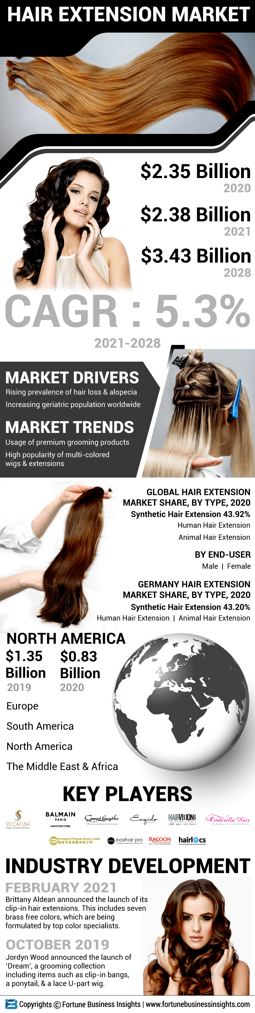 Hair Extension Market
