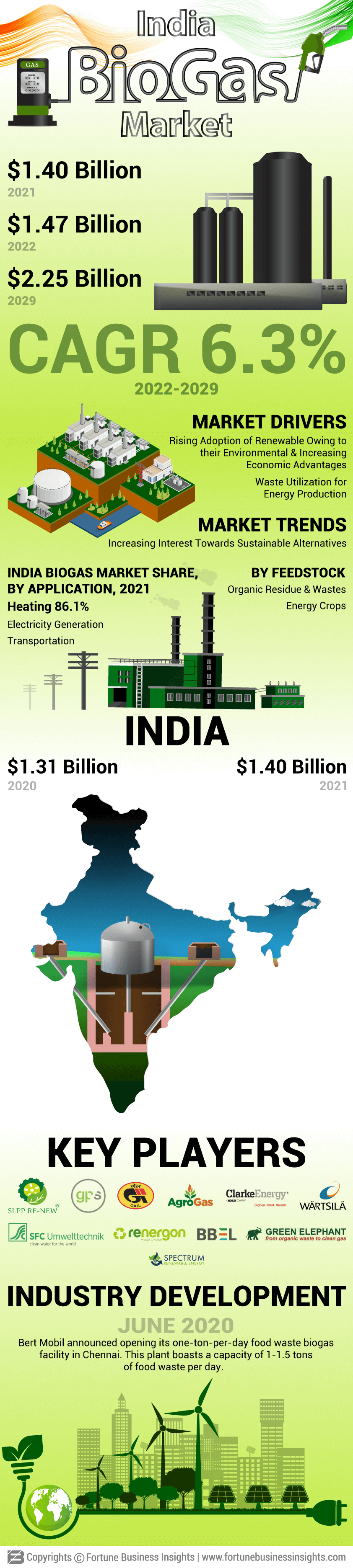 India Biogas Market