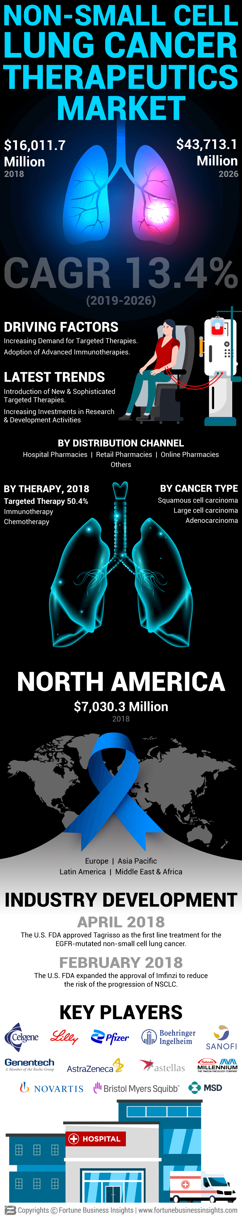 Non-Small Cell Lung Cancer Therapeutics Market