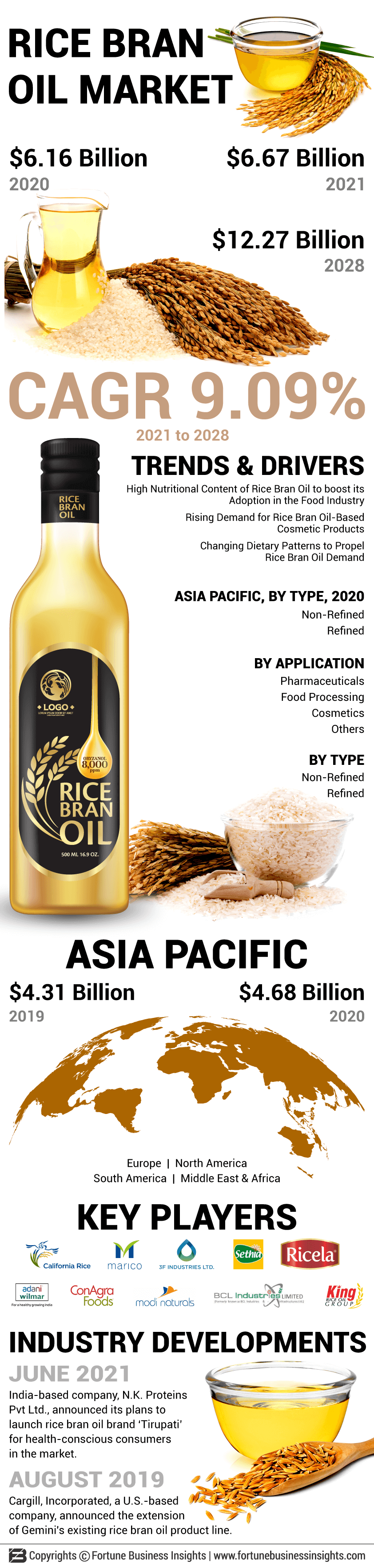 Rice Bran Oil Market