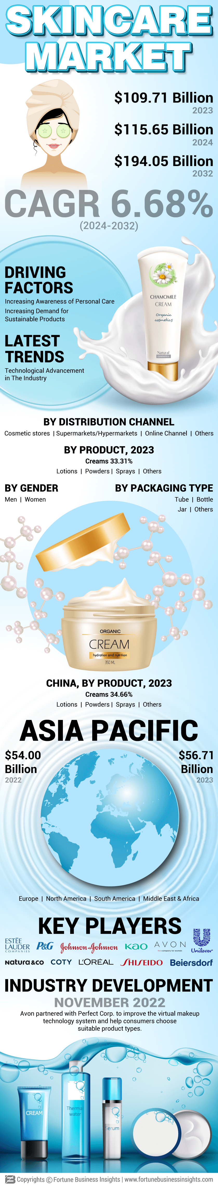 Skin Care Market