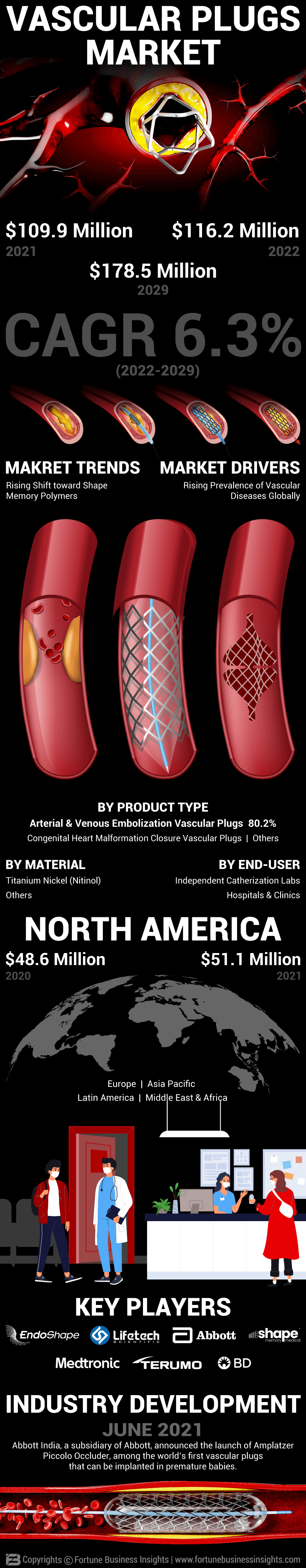 Vascular Plugs Market